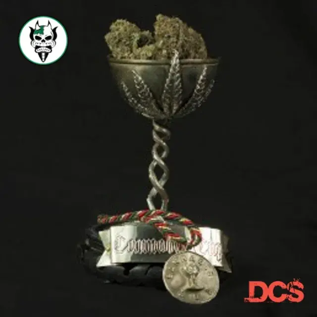 Shorething Feminised Cannabis Seeds | Devil Harvest Original