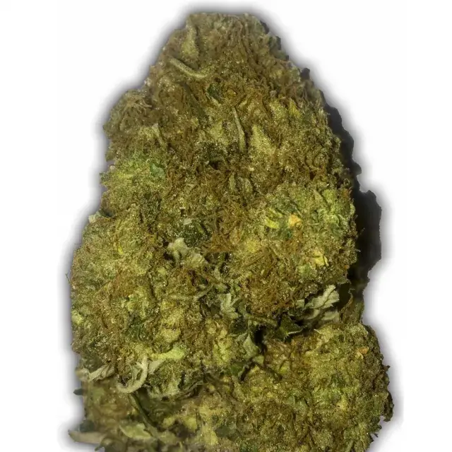 Skunky Monkey Auto Feminised Cannabis Seeds | Heavyweight Seeds