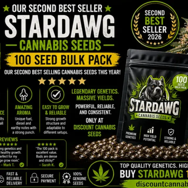 Stardawg Feminised Cannabis Seeds | 100 Bulk Feminised Cannabis Seeds