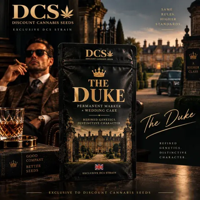 The Duke Feminised Cannabis Seeds | Discount Cannabis Seeds