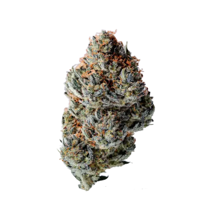 Toad Venum Auto Feminised Cannabis Seeds - Growers Choice.