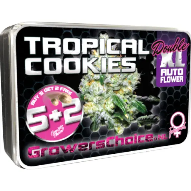 Tropical Cookies Double XL Auto Feminised Cannabis Seeds - Growers Choice