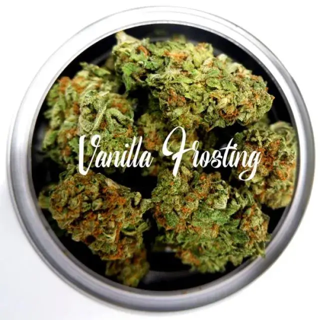 Vanilla Frosting Feminised - Tastebudz
