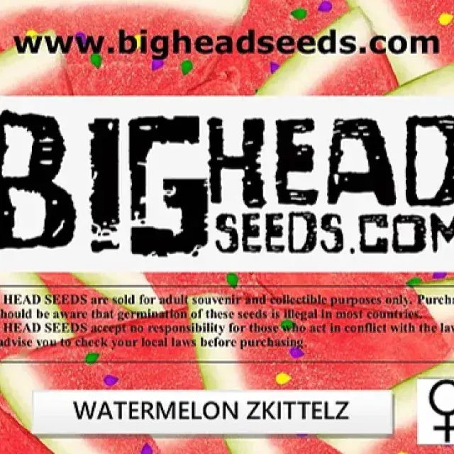 Watermelon Zkittelz Feminised Cannabis Seeds | Big Head Seeds