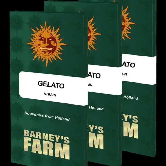 Gelato Feminised Cannabis Seeds | Barney's Farm 