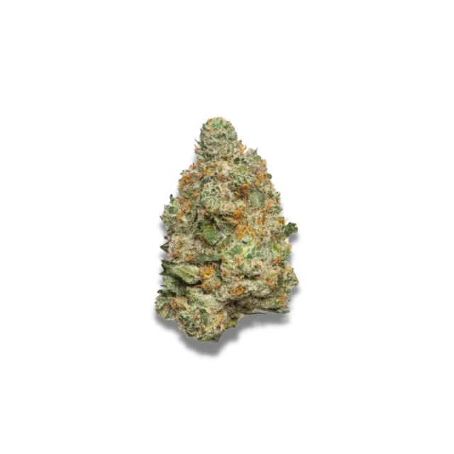 Apple Fritter Auto Feminised Cannabis Seeds - Growers Choice
