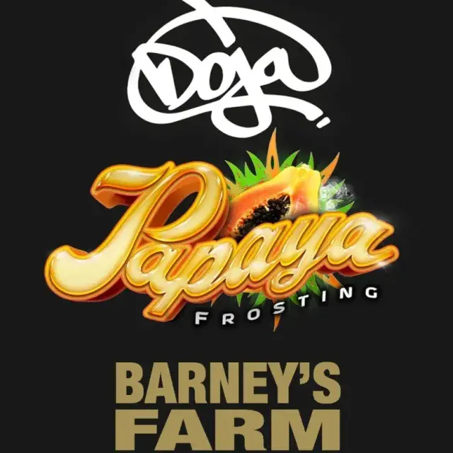 Papaya Frosting Feminised Cannabis Seeds | Barneys Farm.
