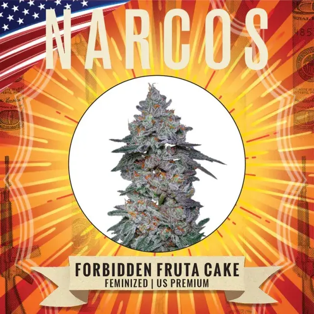 Forbidden Fruta Cake Feminised Cannabis Seeds - NARCOS Seeds.