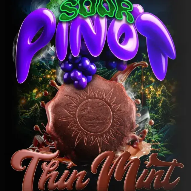 Thin Mint x Sour Pinot Auto Cannabis Seeds - Barneys Farm.