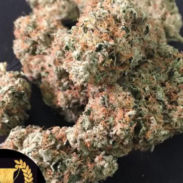 Devils Glue Feminised Cannabis Seeds | Devil’s Harvest Seeds