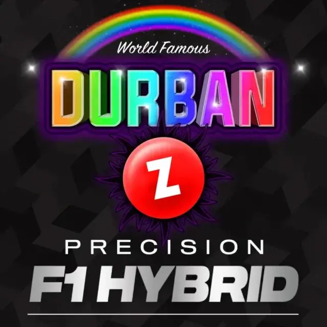 Durban Z F1 Feminised Cannabis Seeds | Barneys Farm.