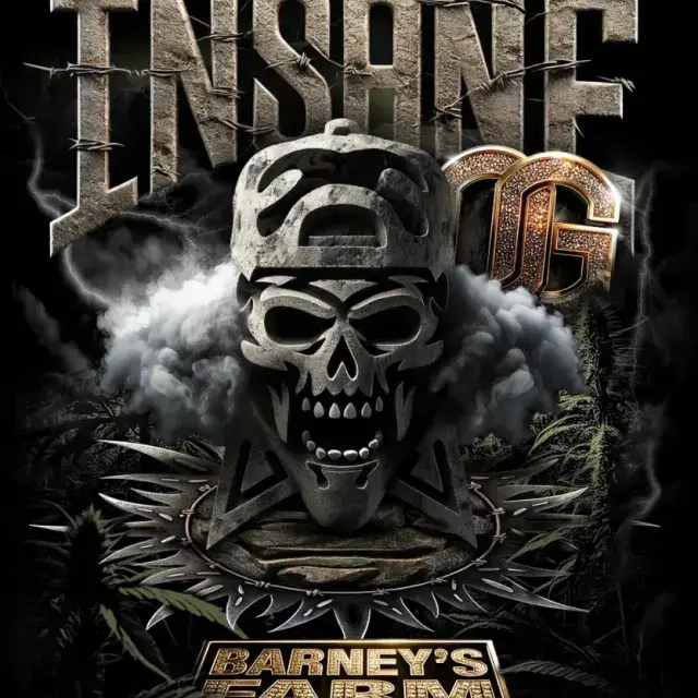 Insane OG Feminised Cannabis Seeds | Barney's Farm.