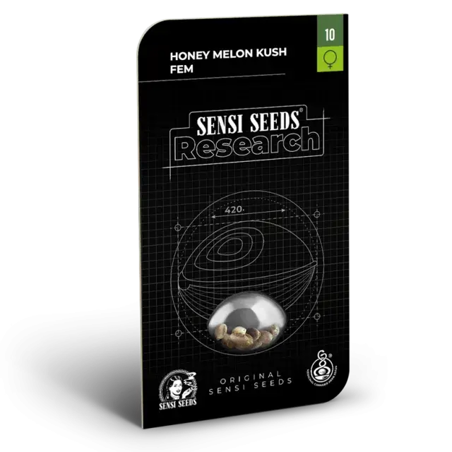 Honey Melon Kush Feminised Cannabis Seeds - Sensi Seeds Research