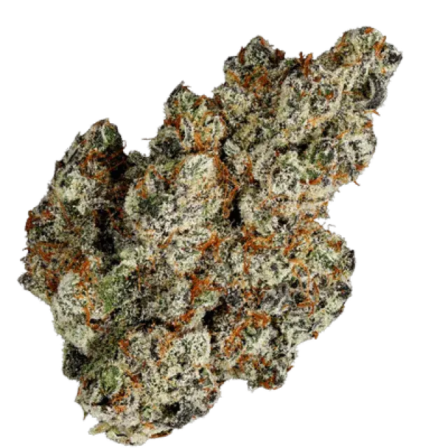 Jelly Babiez Feminised Cannabis Seeds- Terp Farmz.