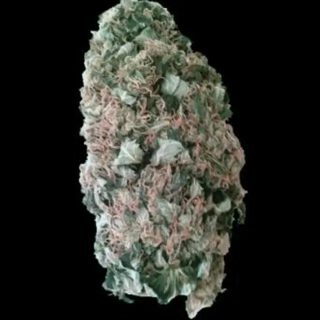 Mr. Fix Feminised Cannabis Seeds