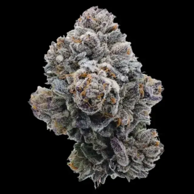 Pink Glitterbomb Feminised Cannabis Seeds - Growers Choice.