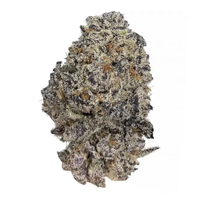Original Oreoz Feminised Cannabis Seeds - Growers Choice