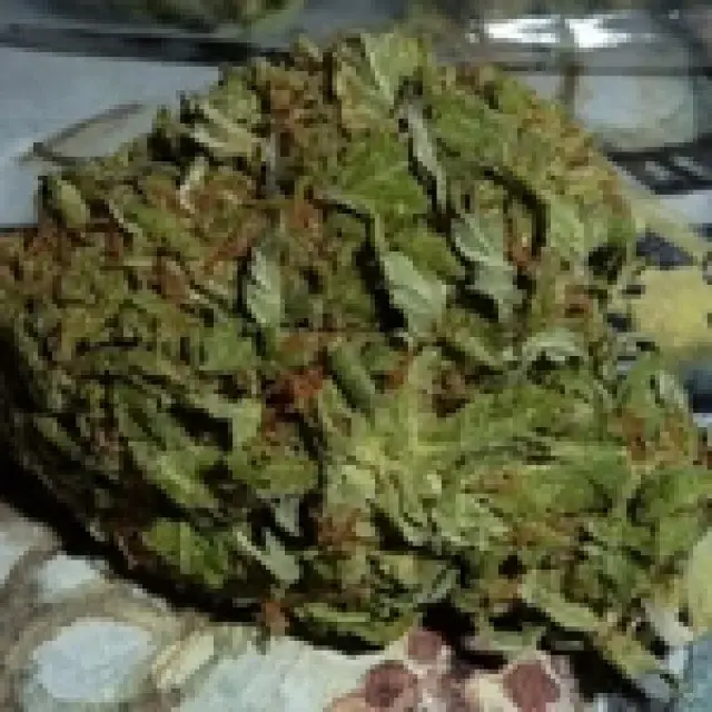 BC Pinewarp Regular Cannabis Seeds | BC Bud Depot