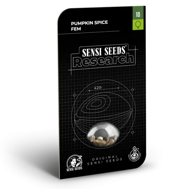 Pumpkin Spice Feminised Cannabis Seeds - Sensi Seeds Research