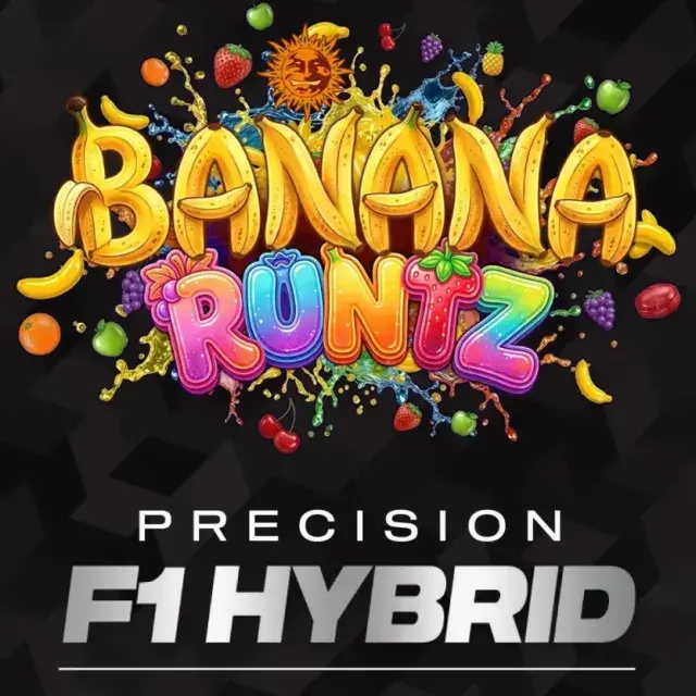 Banana Runtz F1 Feminised Cannabis Seeds | Barneys Farm.