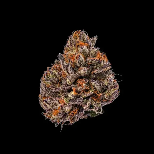 Tropicana Cherry Triploid Feminised Cannabis Seeds - Growers Choice