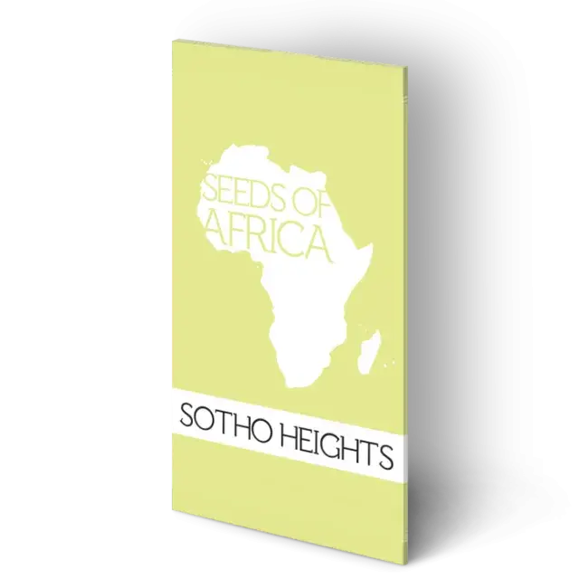 Sotho Heights Regular Cannabis Seeds | Seeds of Africa