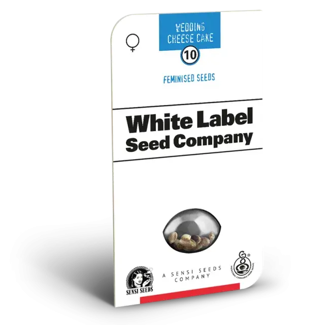 American Line Wedding Cheesecake Feminised Cannabis Seeds | White Label Seed Company