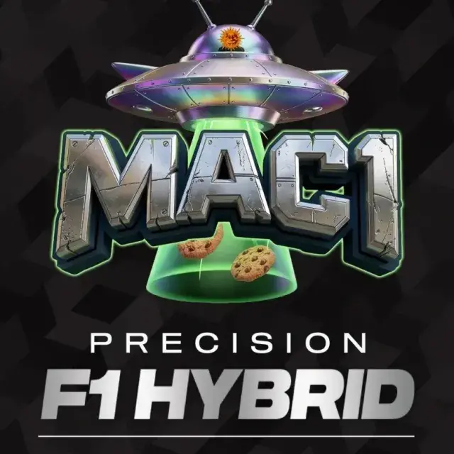 MAC1 F1 Feminised Cannabis Seeds | Barneys Farm.