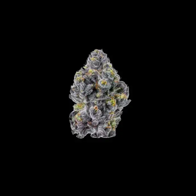 Sticky Wasabi Triploid Feminised Cannabis Seeds - Growers ChoiceSticky Wasabi Triploid Feminised Cannabis Seeds - Growers Choice