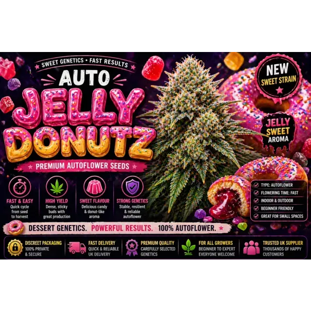 Auto Jelly Donutz Cannabis Seeds UK (Sweet Auto flower Guide 2026)
