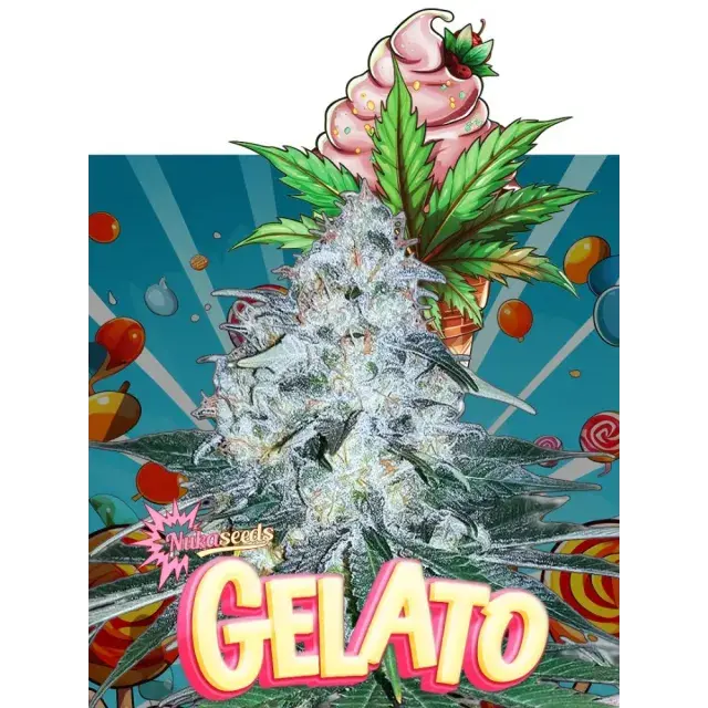 The Finest Gelato Cannabis Seeds at Discount Cannabis Seeds.