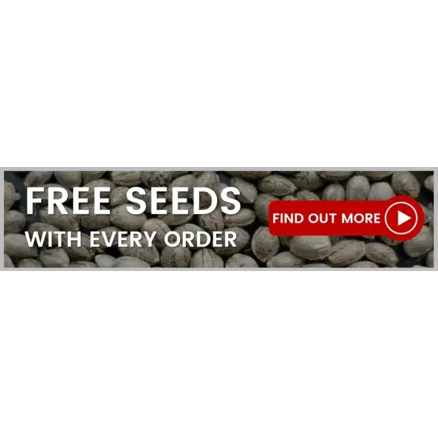 Cannabis Seeds: How to Get Free Seeds with Every Order.