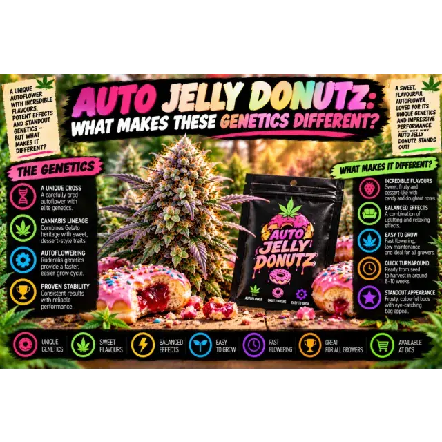 Cannabis Seeds: Auto Jelly Donutz: What Makes These Cannabis Genetics Different?