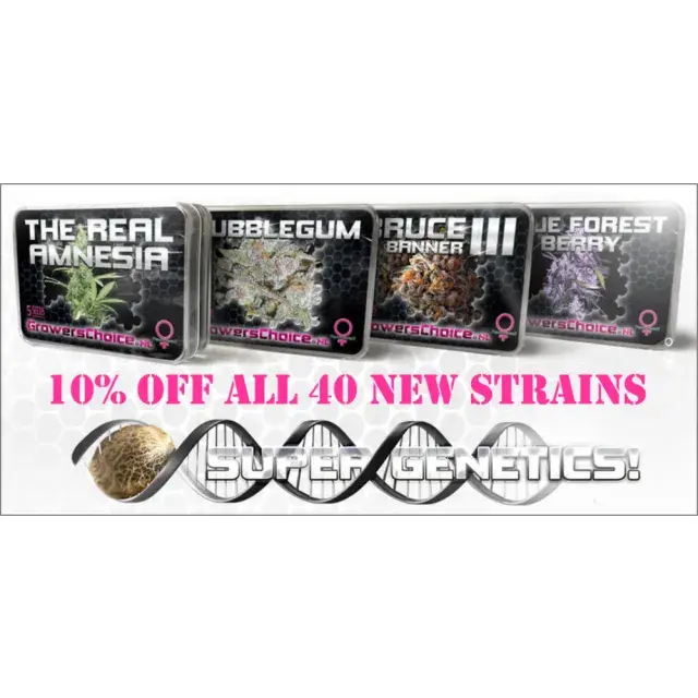Cannabis Seeds - Growers Choice - DCS.