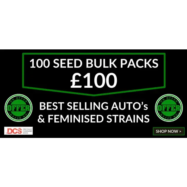 Why Now is the Perfect Time to Stock Up on Cannabis Seeds.