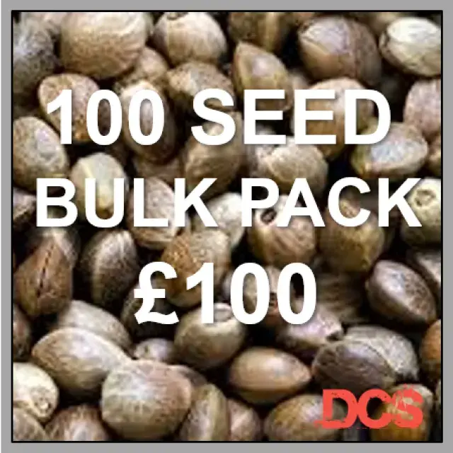 Bulk Cannabis Seeds - Discount Cannabis Seeds
