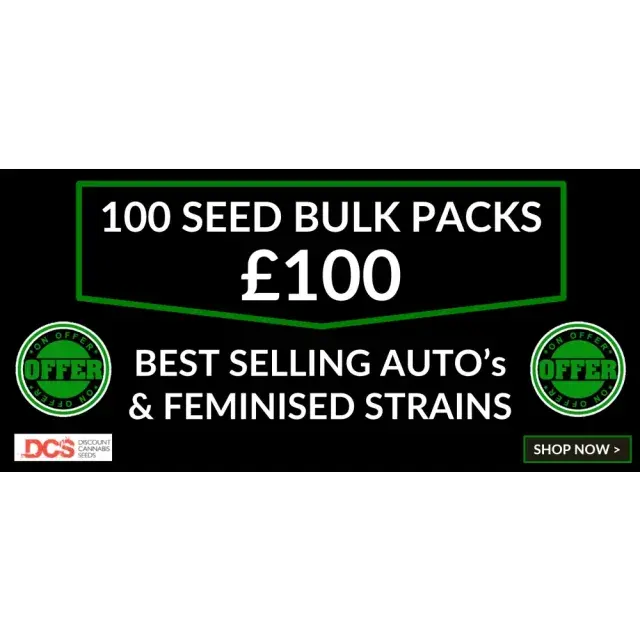 Unlock Amazing Value: 100 Bulk Cannabis Seeds for £100.