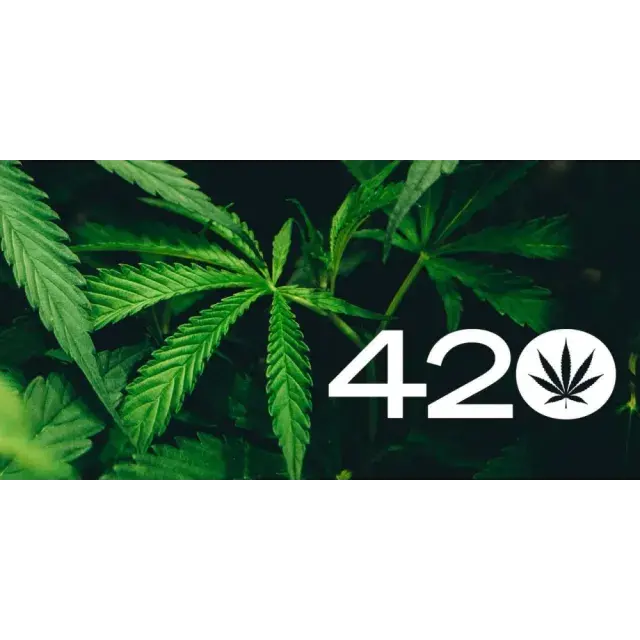 Perfect Time to Buy Stardawg Cannabis Seeds for Optimal Growth.