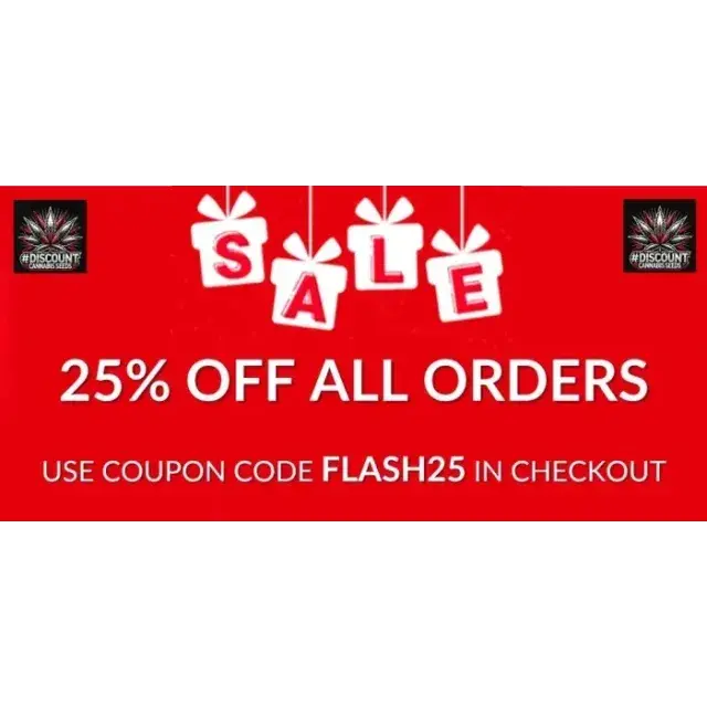 Cannabis Seeds: September 2025's Discount Deals & Flash Sales.