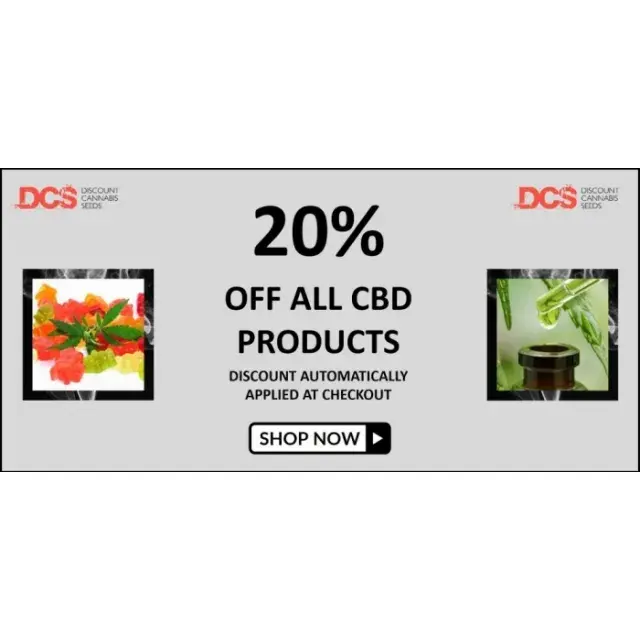 The Benefits of CBD: Your Ultimate Guide to the Top CBD Products