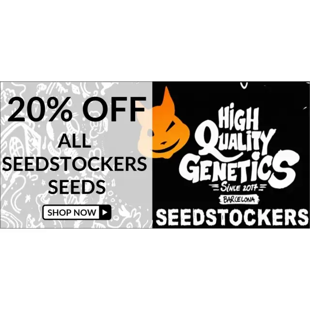 Spring Savings: March Promotions with 20% Off from the Biggest Cannabis Seeds Banks.