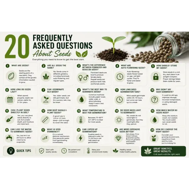 Cannabis Seeds: 20 Frequently Asked Questions About Seeds.