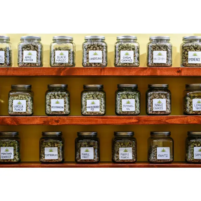 From Seed to Sale: How Cannabis Seeds Become Quality Flowers.