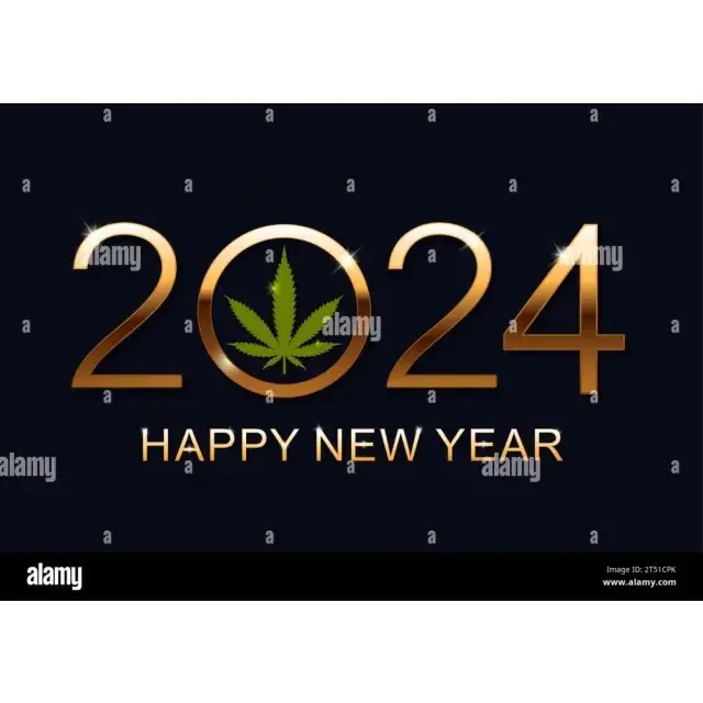How Discount Cannabis Seeds Can Help You Save Money in 2024.