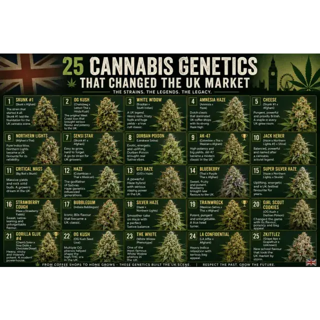 Cannabis Seeds: 25 Cannabis Genetics That Changed the UK Market.