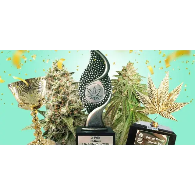 Explore the Best Cannabis Seeds Cup Champions: Unique Strains for Your Garden at Discount Cannabis Seeds.