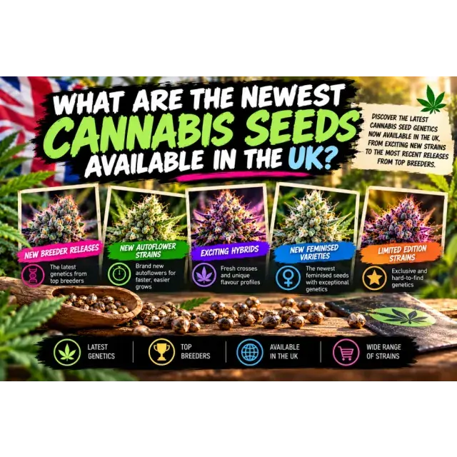 Cannabis Seeds: What Are the Newest Cannabis Seeds Available in the UK?