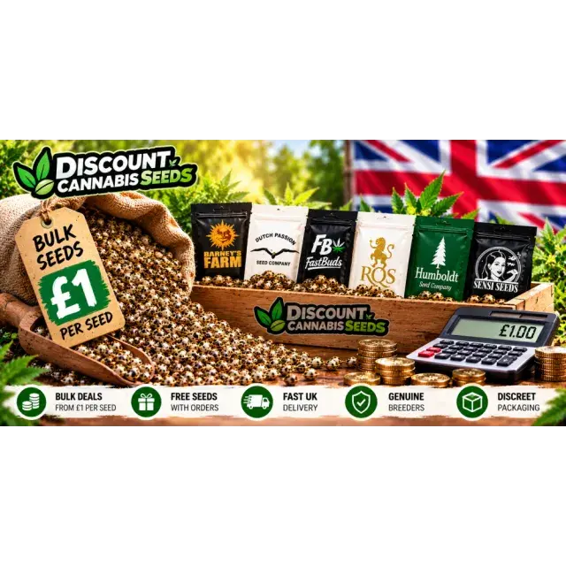 Cannabis Seeds: Can You Buy Cannabis Seeds in Bulk for £1 Per Seed?