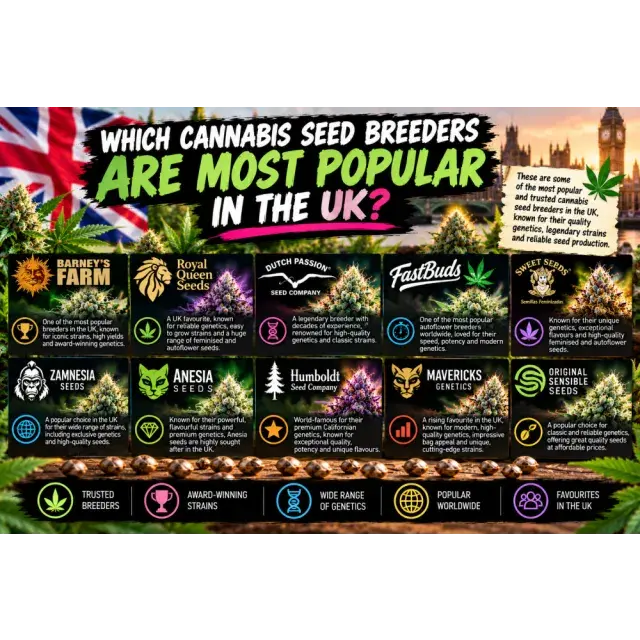 Cannabis Seeds: Which Cannabis Seed Breeders Are Most Popular in the UK?