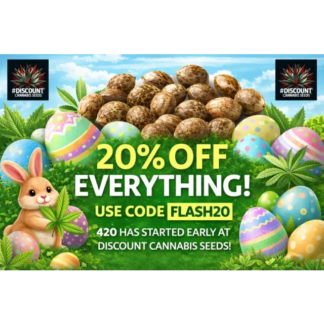 Best Selling Cannabis Seeds This Easter (2026 Deals & Top Picks).